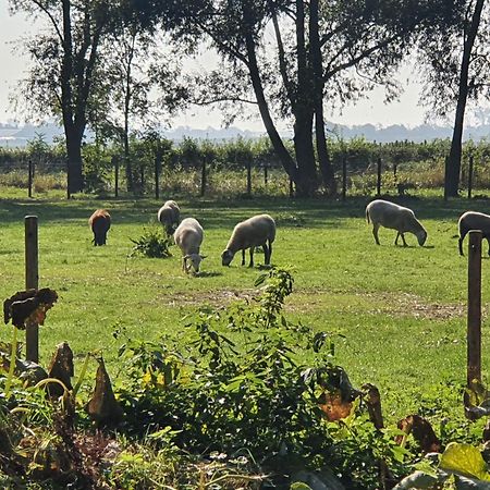 De Zeeuwsche Hoeve Kerkwerve Exteriör bild