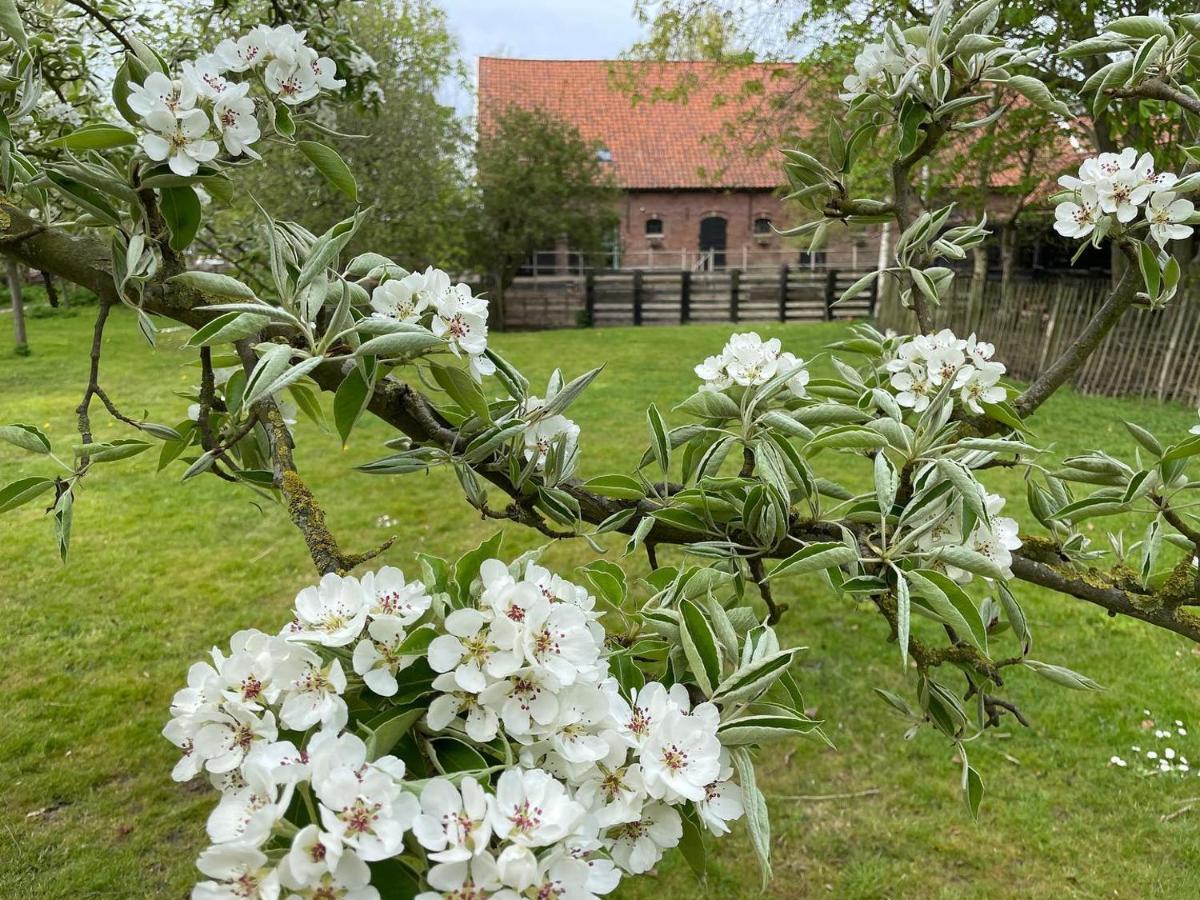 De Zeeuwsche Hoeve Kerkwerve Exteriör bild