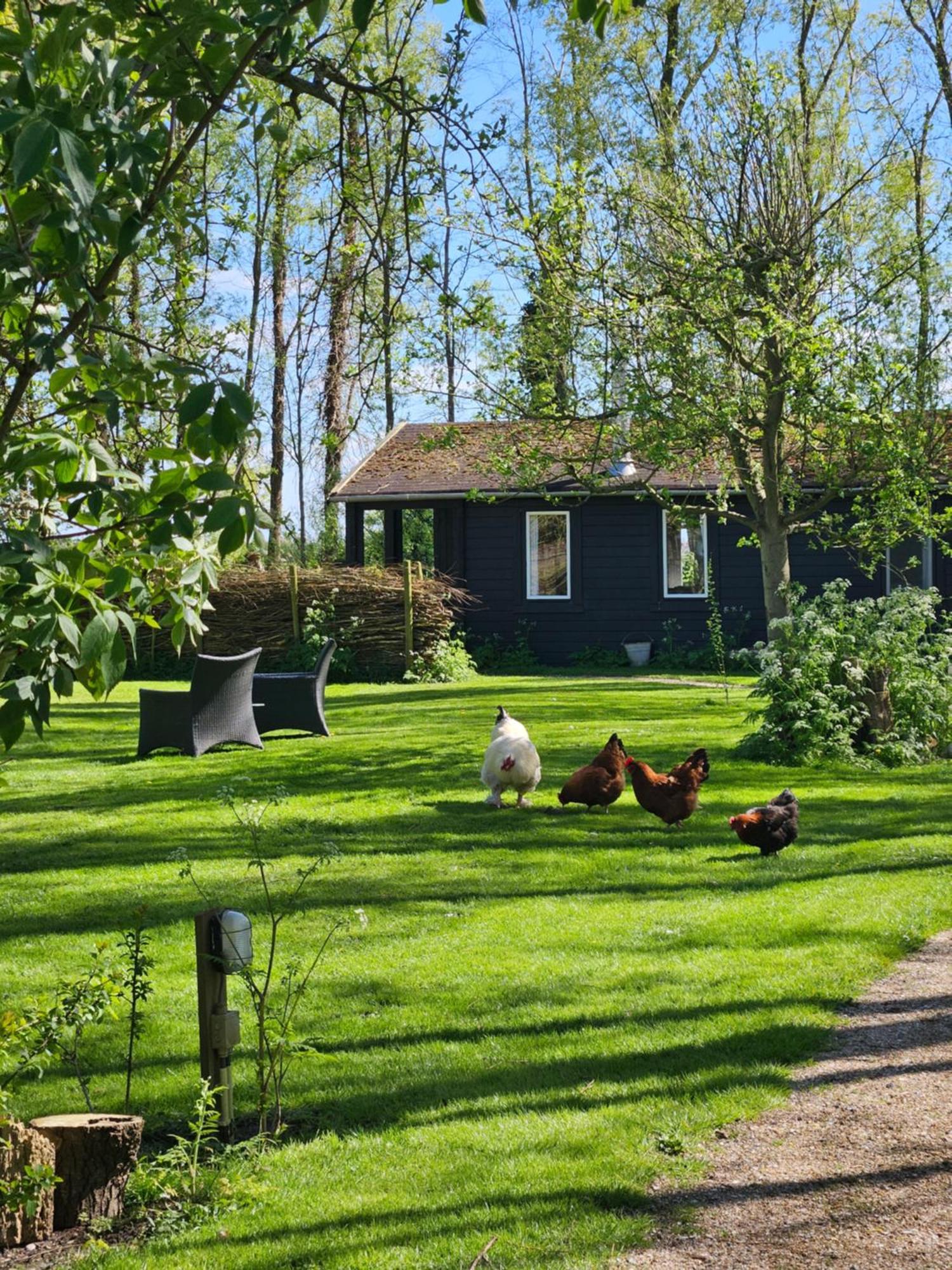 De Zeeuwsche Hoeve Kerkwerve Exteriör bild