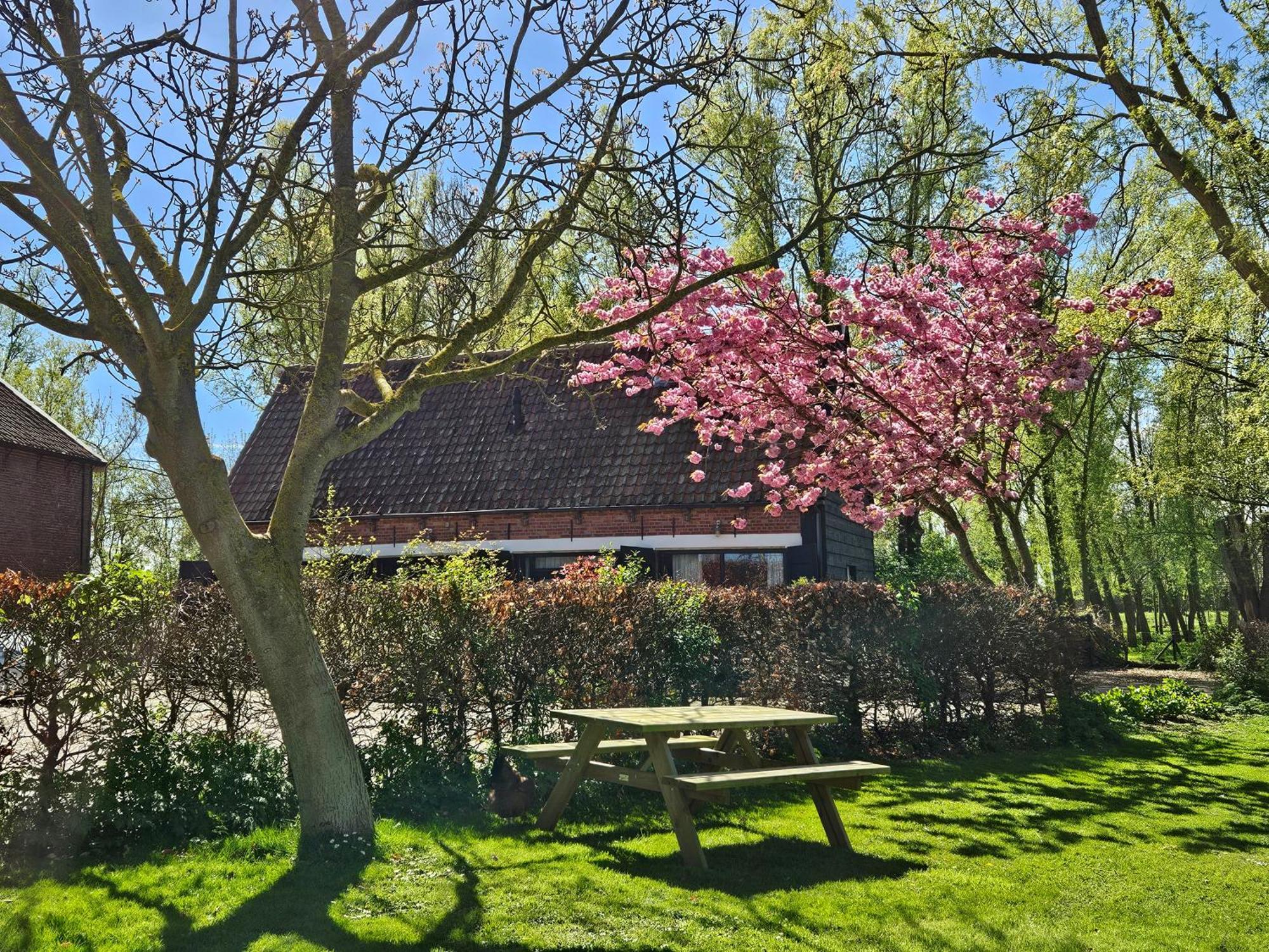 De Zeeuwsche Hoeve Kerkwerve Exteriör bild