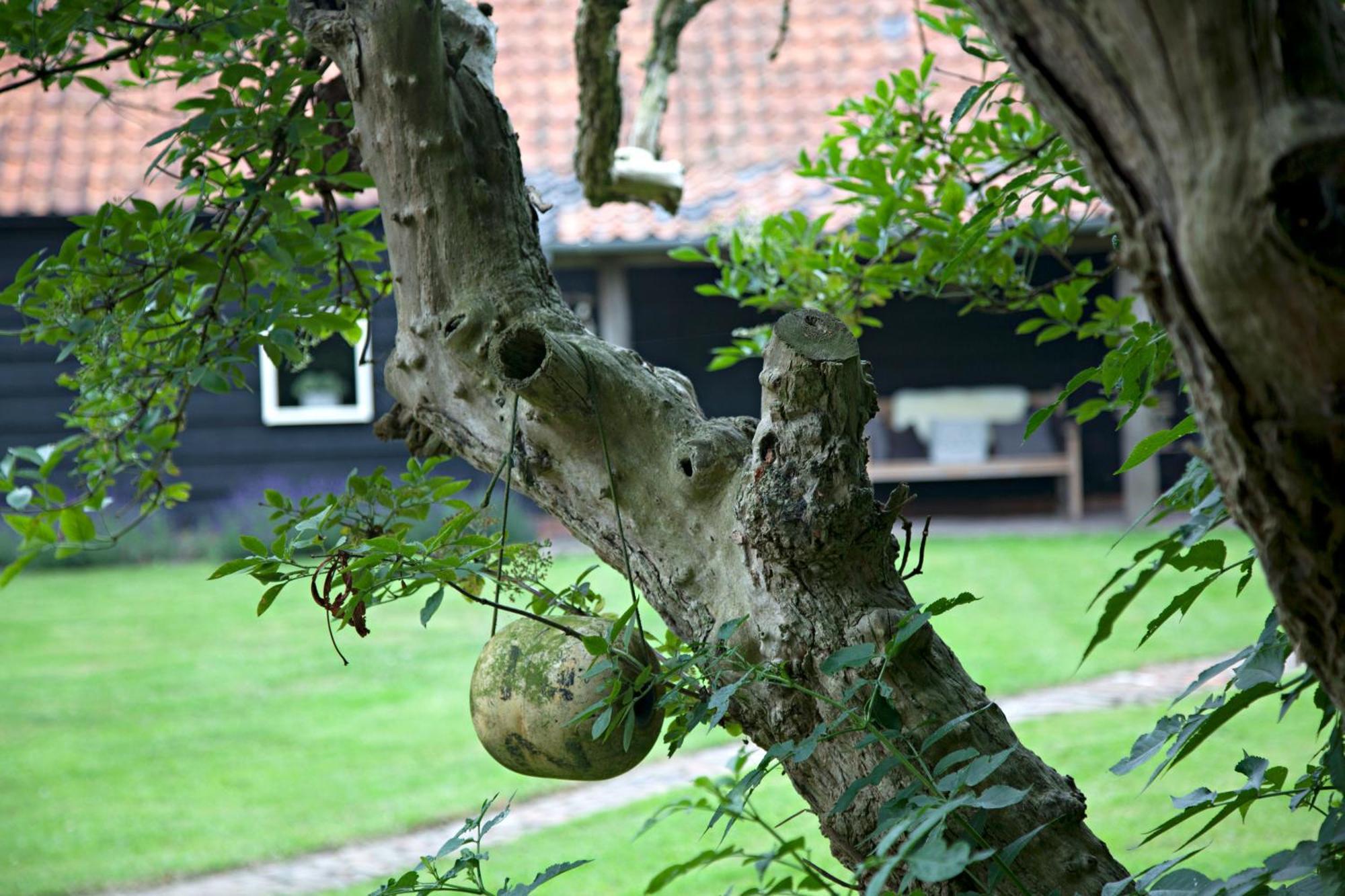 De Zeeuwsche Hoeve Kerkwerve Exteriör bild