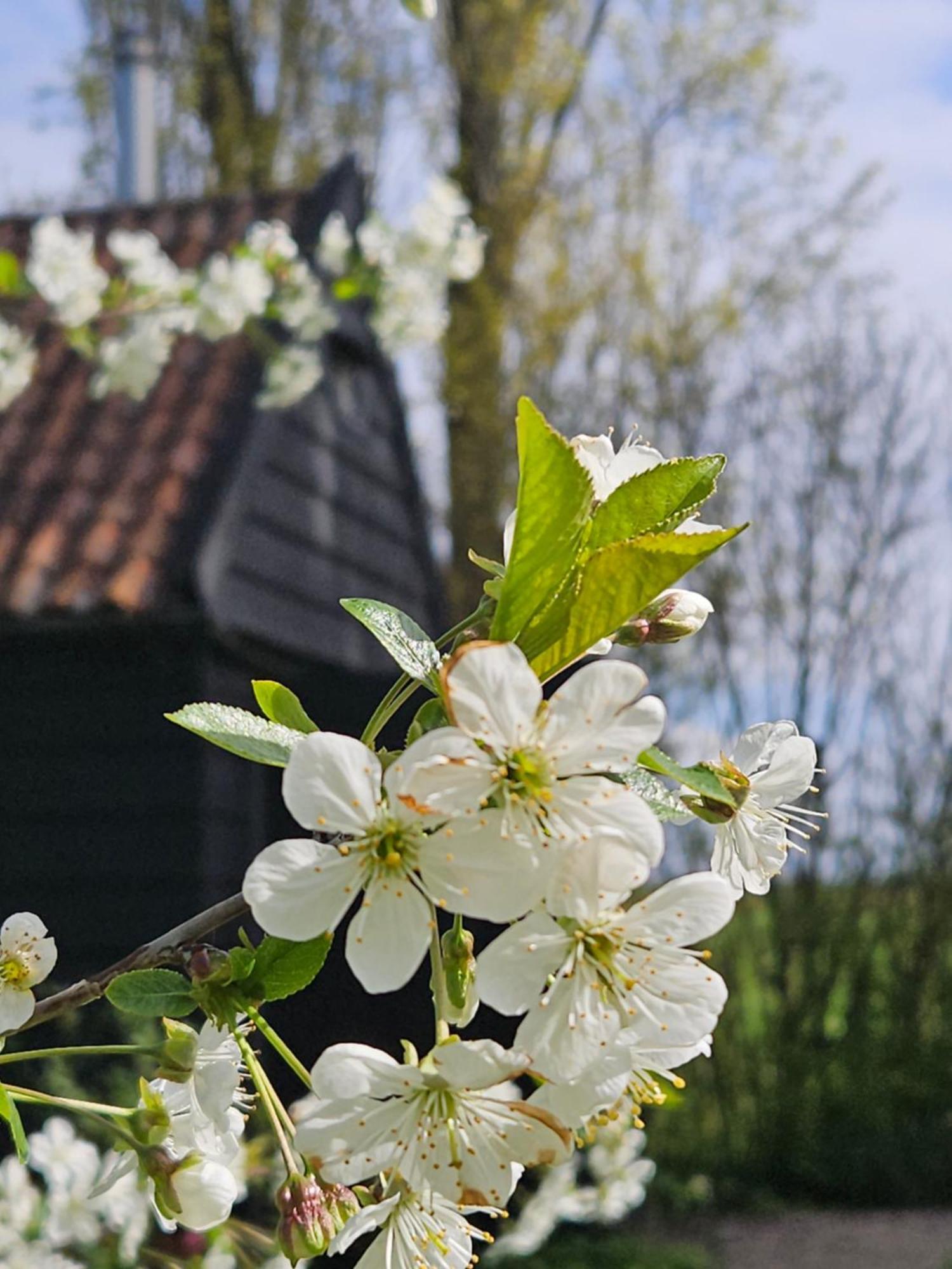 De Zeeuwsche Hoeve Kerkwerve Exteriör bild