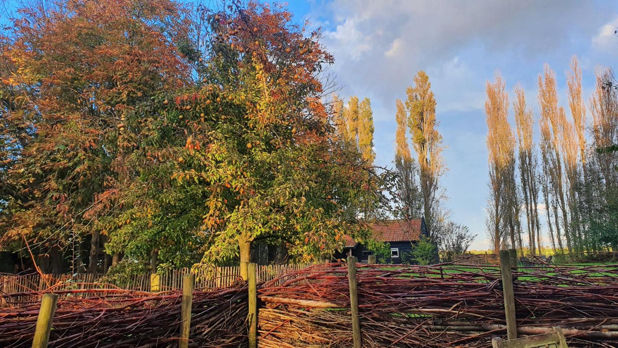 De Zeeuwsche Hoeve Kerkwerve Exteriör bild