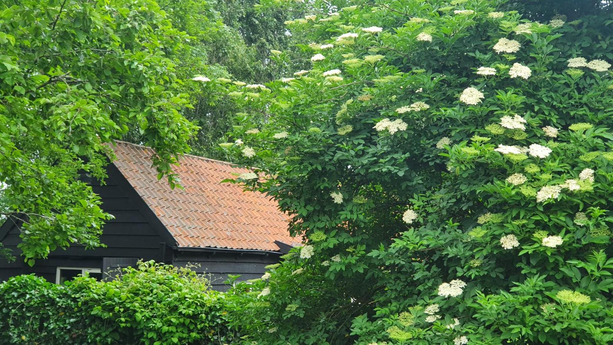 De Zeeuwsche Hoeve Kerkwerve Exteriör bild