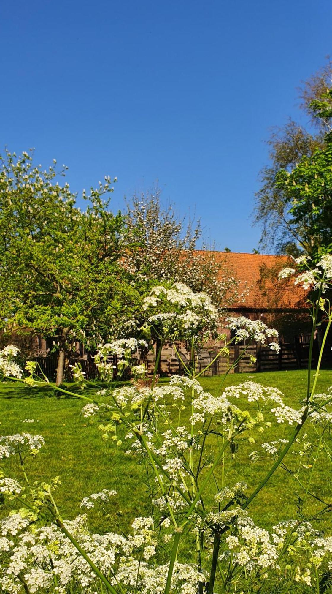 De Zeeuwsche Hoeve Kerkwerve Exteriör bild