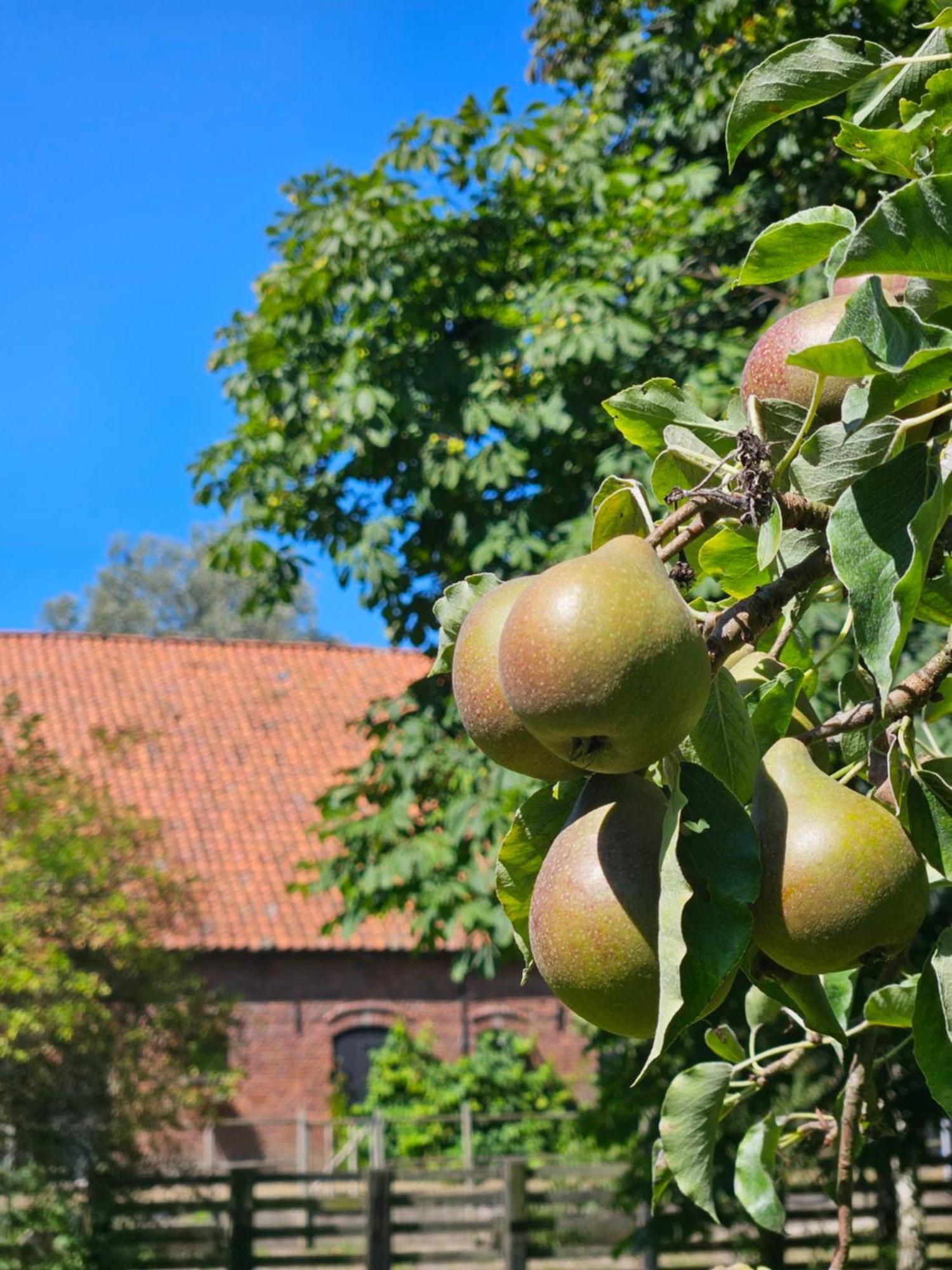 De Zeeuwsche Hoeve Kerkwerve Exteriör bild