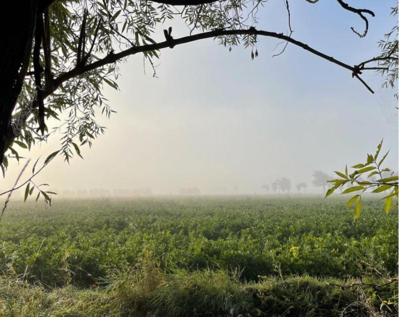 De Zeeuwsche Hoeve Kerkwerve Exteriör bild