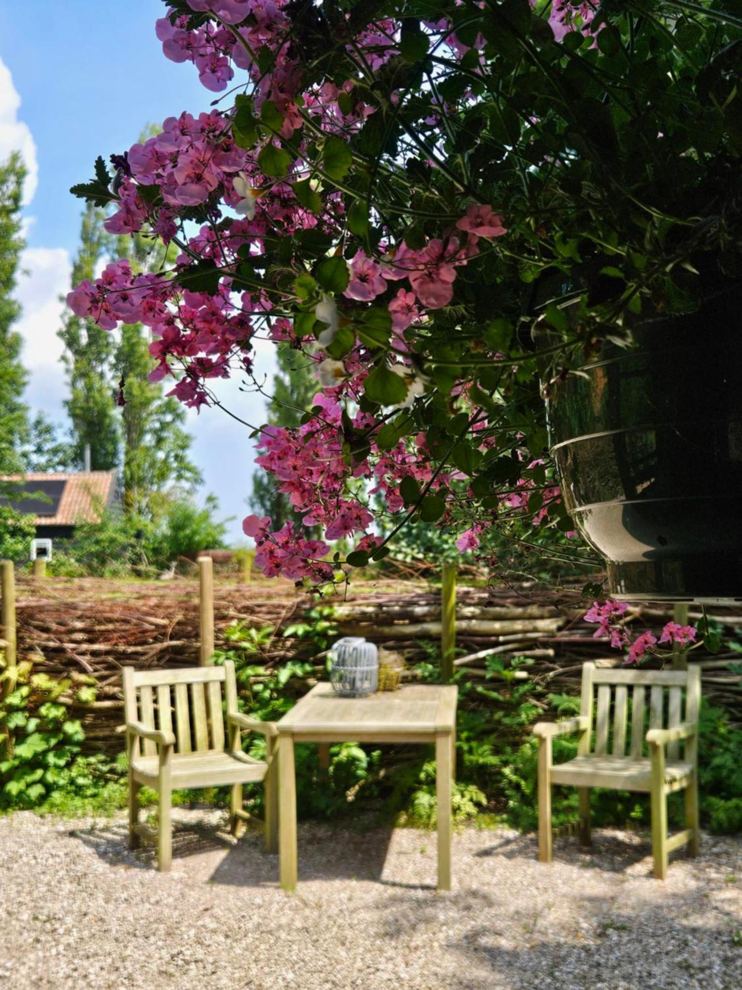 De Zeeuwsche Hoeve Kerkwerve Exteriör bild